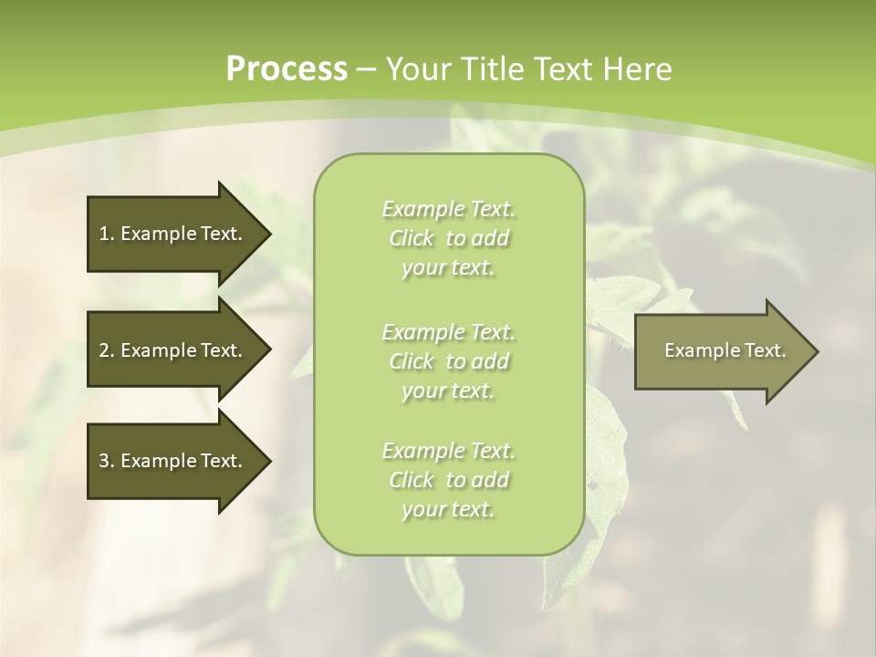 Organic Soil Sunshine PowerPoint Template