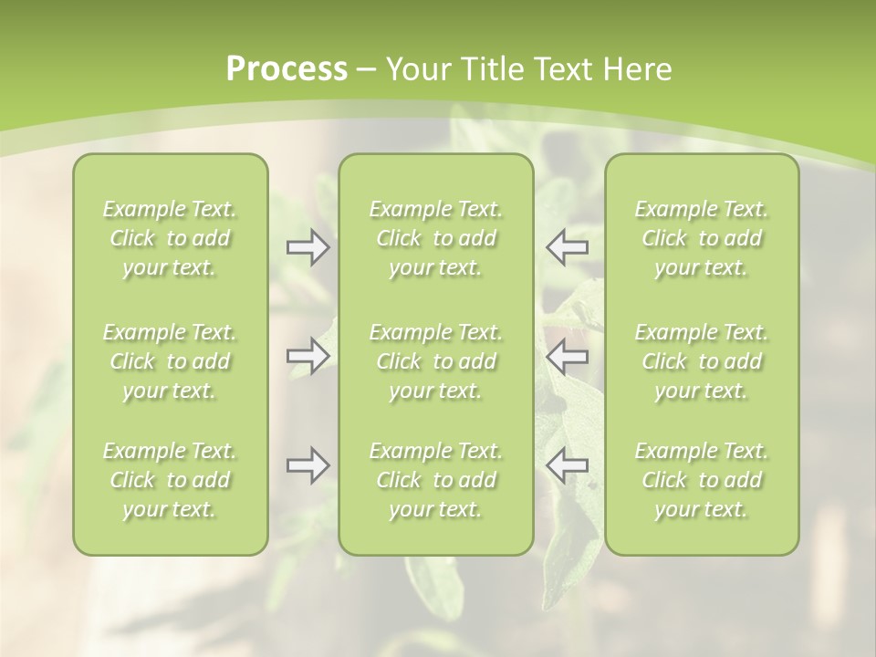 Organic Soil Sunshine PowerPoint Template