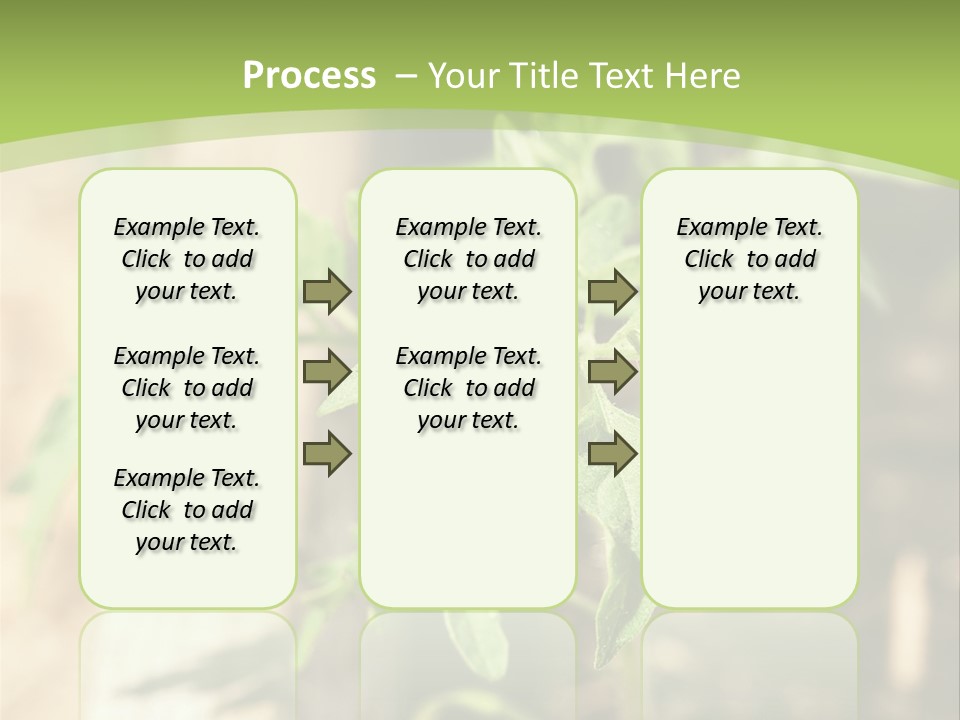 Organic Soil Sunshine PowerPoint Template
