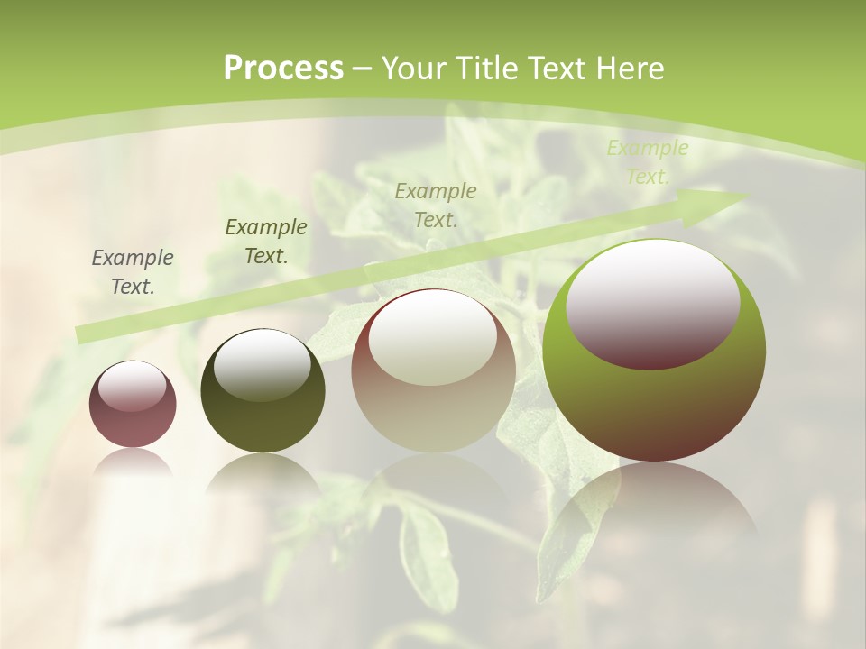 Organic Soil Sunshine PowerPoint Template