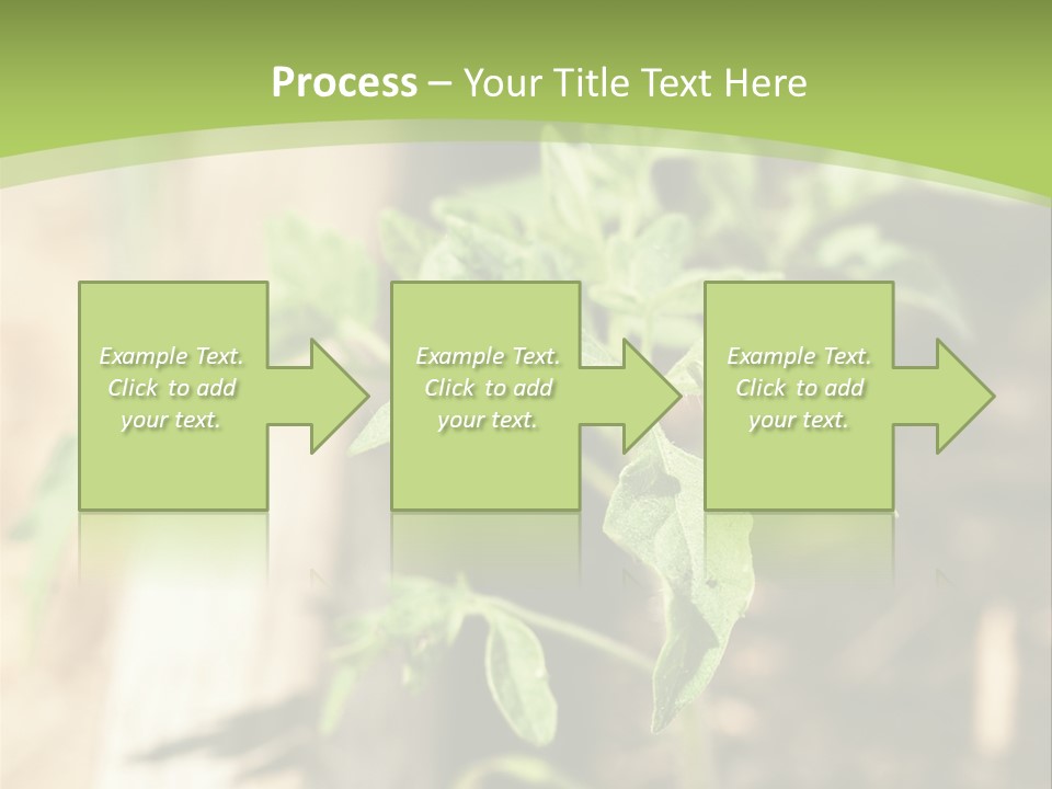 Organic Soil Sunshine PowerPoint Template