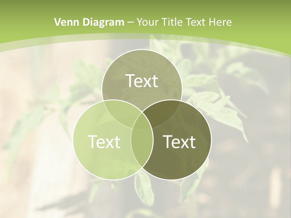 Organic Soil Sunshine PowerPoint Template