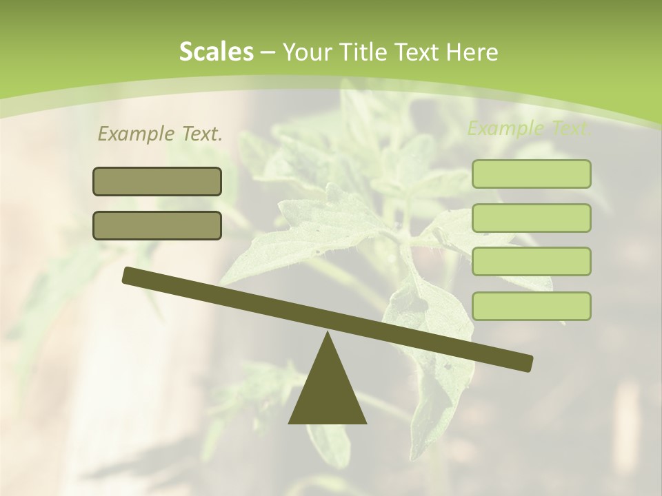 Organic Soil Sunshine PowerPoint Template