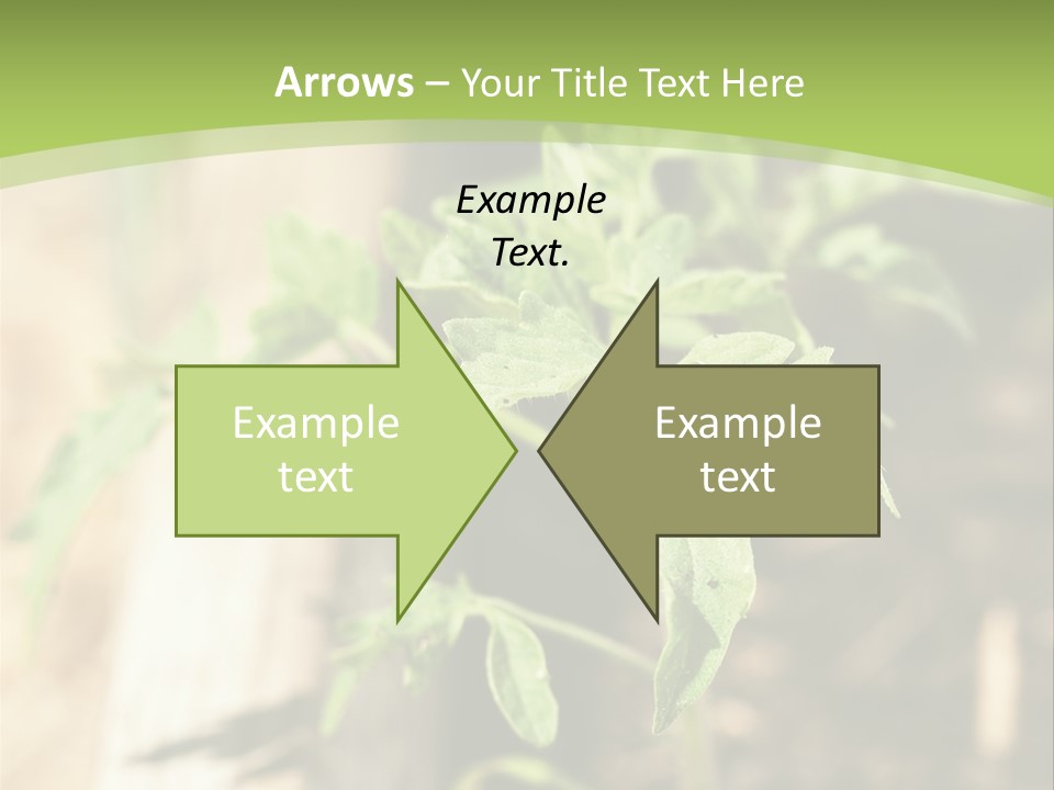 Organic Soil Sunshine PowerPoint Template