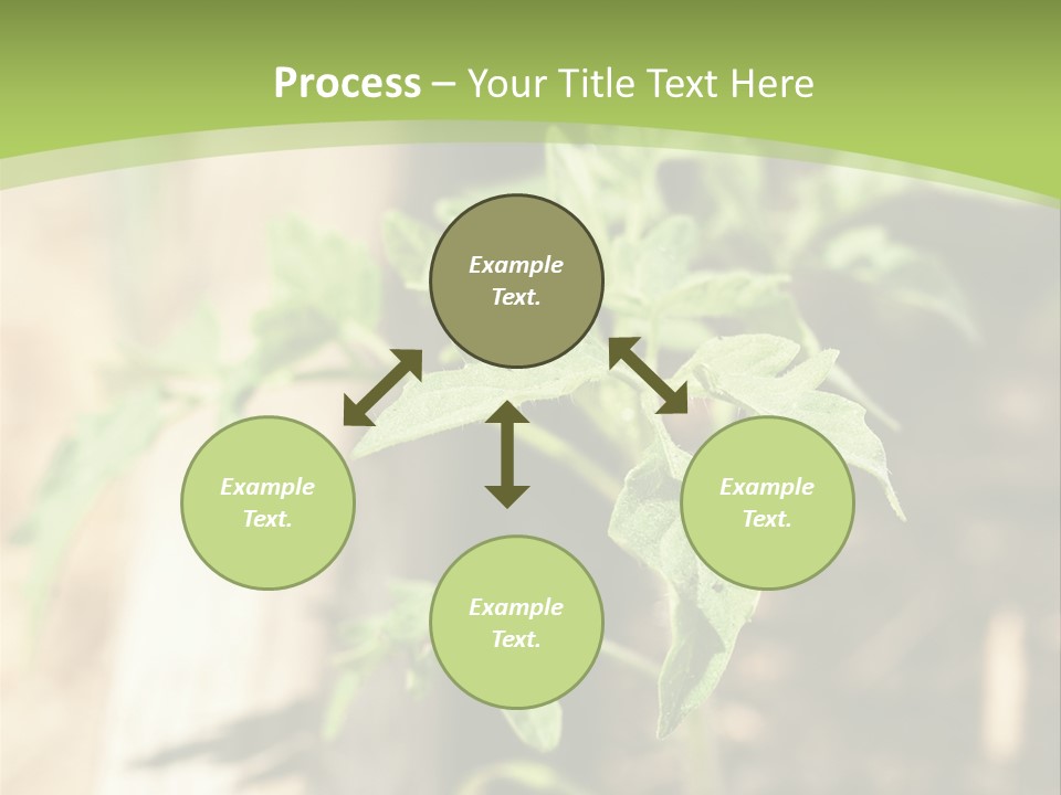 Organic Soil Sunshine PowerPoint Template