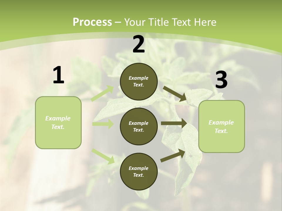 Organic Soil Sunshine PowerPoint Template