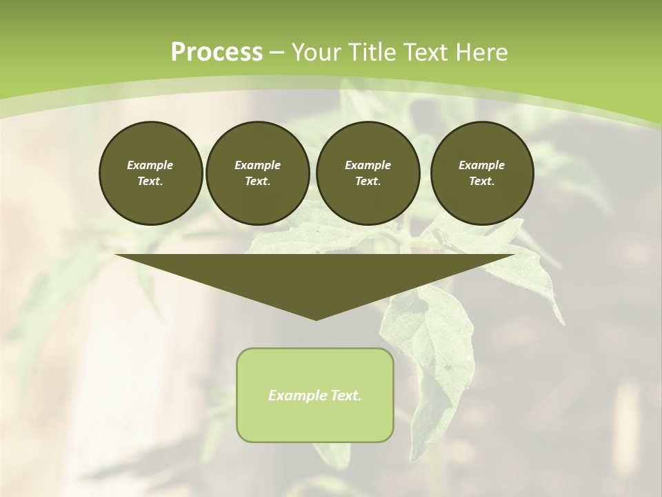 Organic Soil Sunshine PowerPoint Template