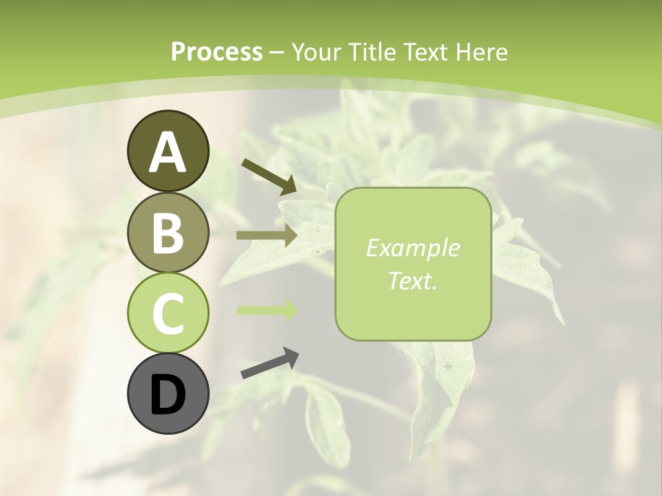 Organic Soil Sunshine PowerPoint Template