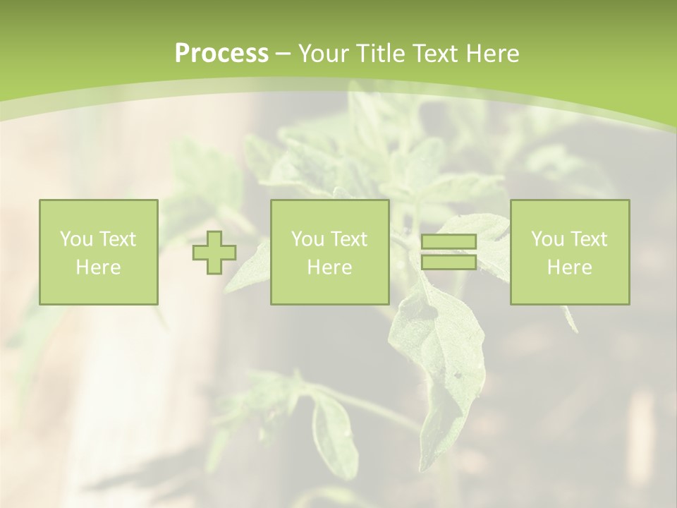 Organic Soil Sunshine PowerPoint Template