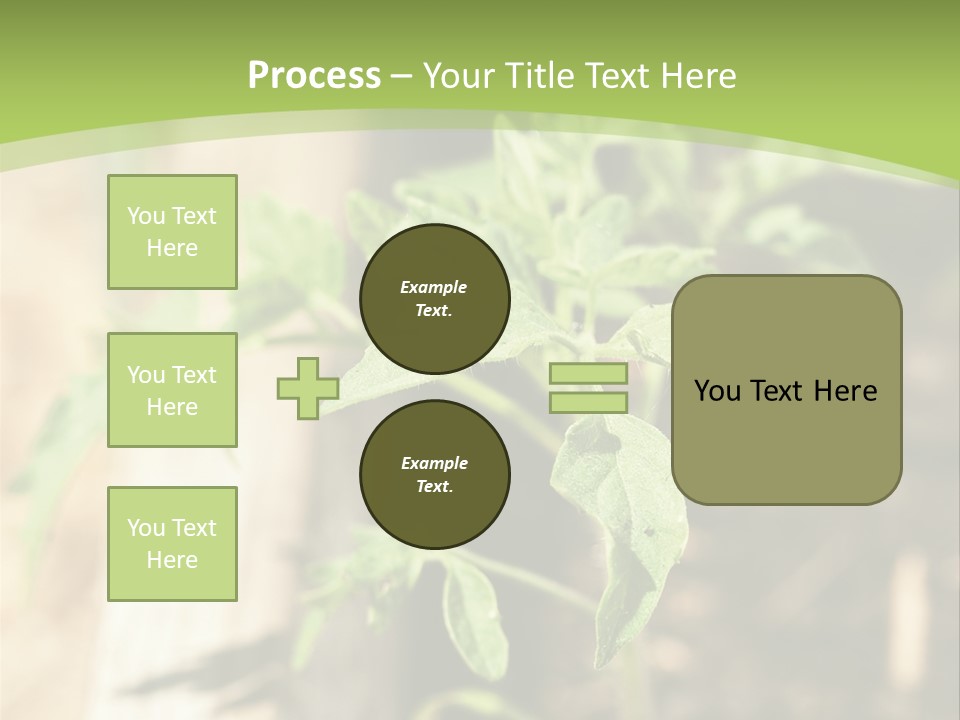 Organic Soil Sunshine PowerPoint Template