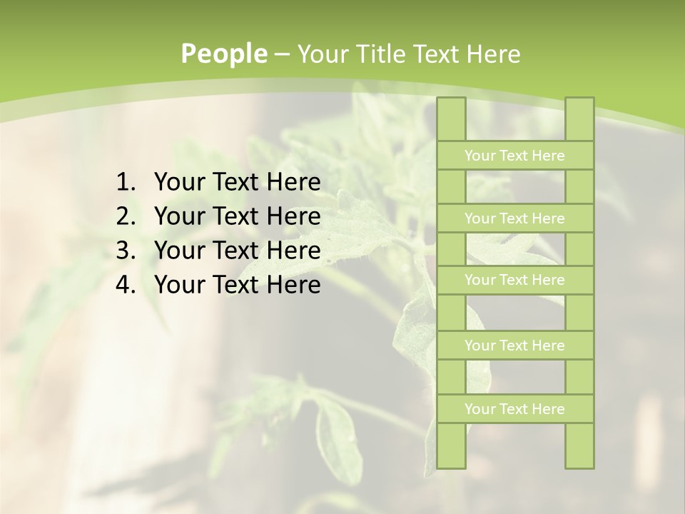 Organic Soil Sunshine PowerPoint Template