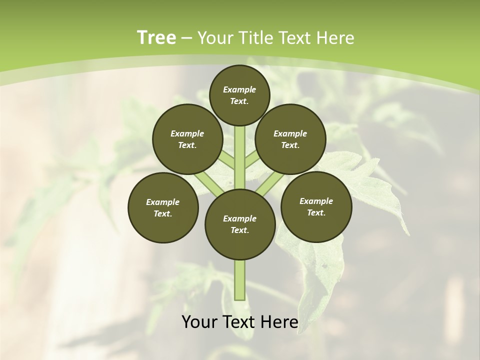 Organic Soil Sunshine PowerPoint Template
