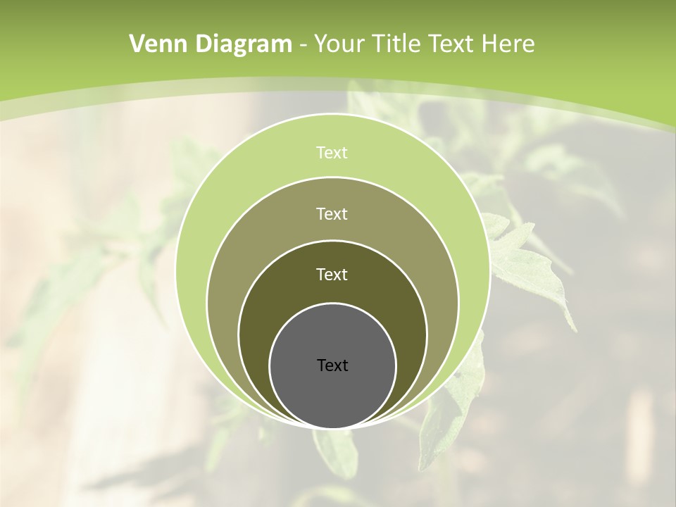 Organic Soil Sunshine PowerPoint Template