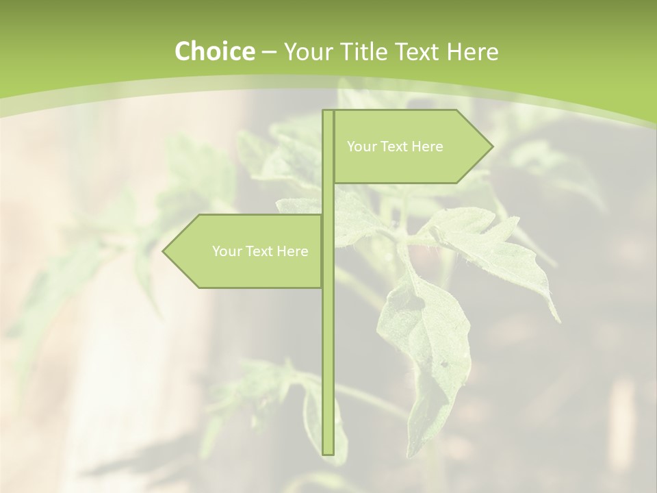 Organic Soil Sunshine PowerPoint Template