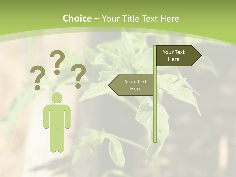 Organic Soil Sunshine PowerPoint Template