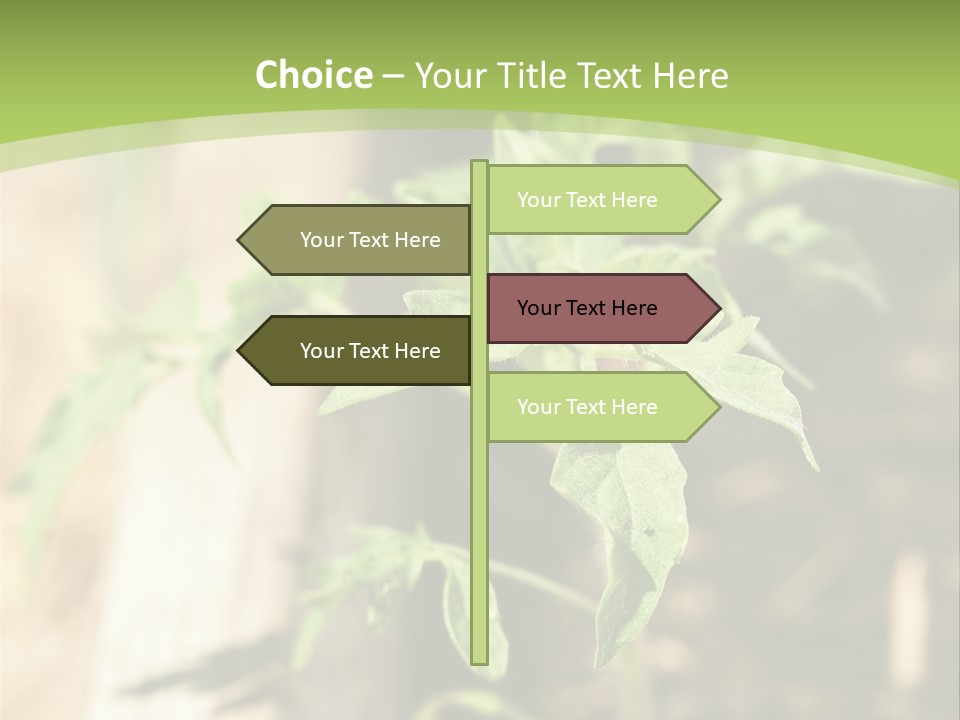 Organic Soil Sunshine PowerPoint Template