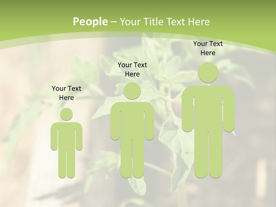 Organic Soil Sunshine PowerPoint Template