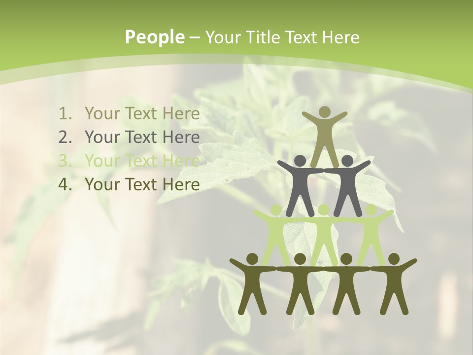 Organic Soil Sunshine PowerPoint Template