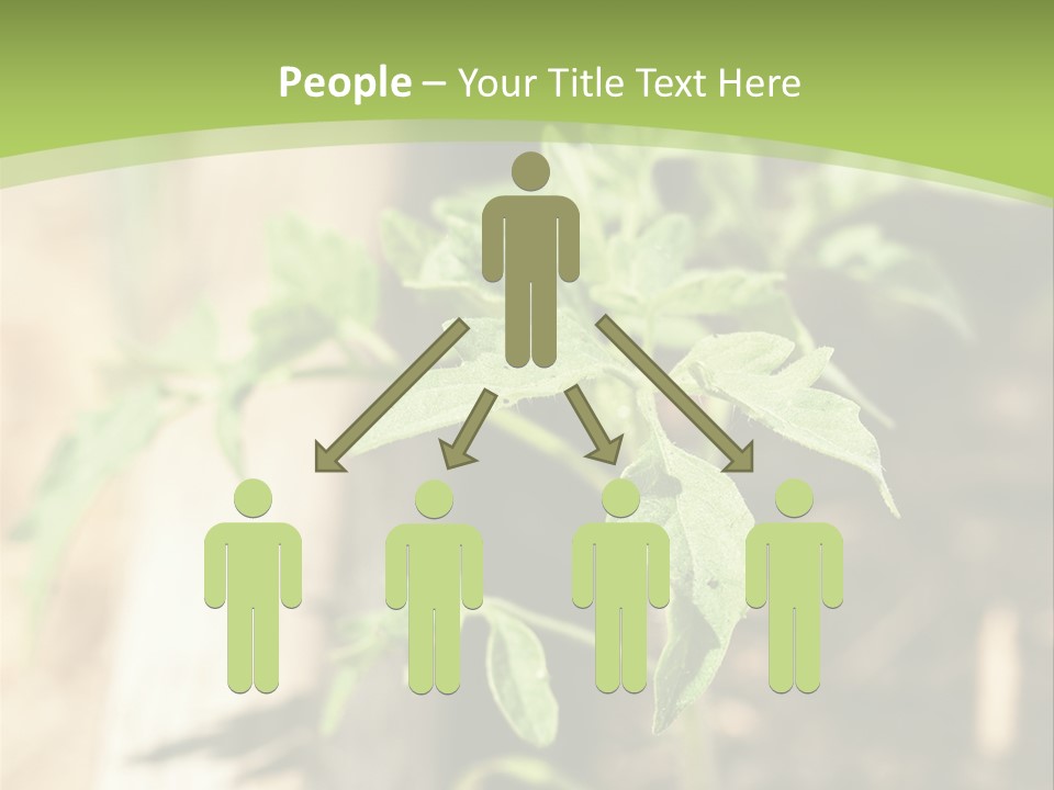 Organic Soil Sunshine PowerPoint Template