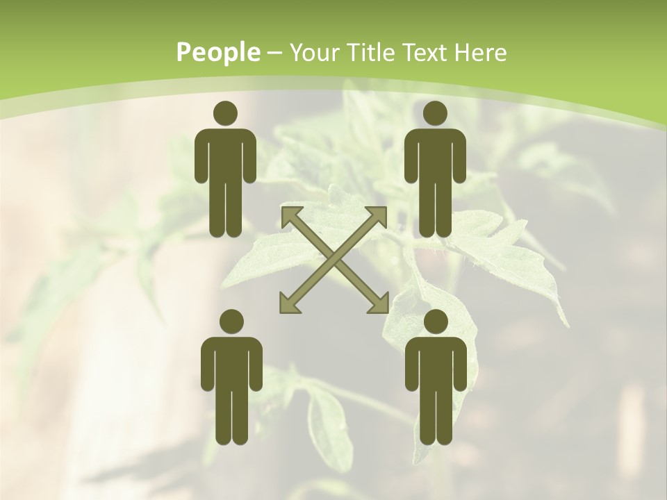 Organic Soil Sunshine PowerPoint Template