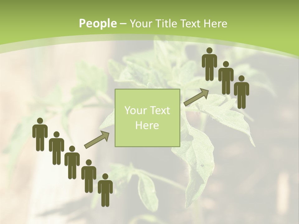 Organic Soil Sunshine PowerPoint Template