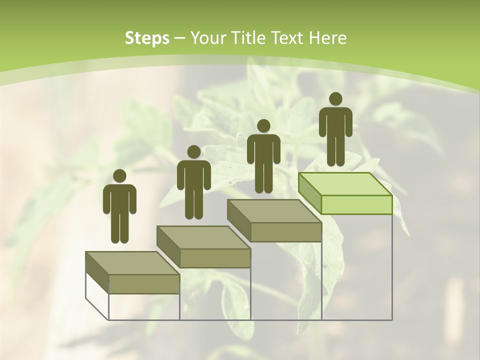 Organic Soil Sunshine PowerPoint Template