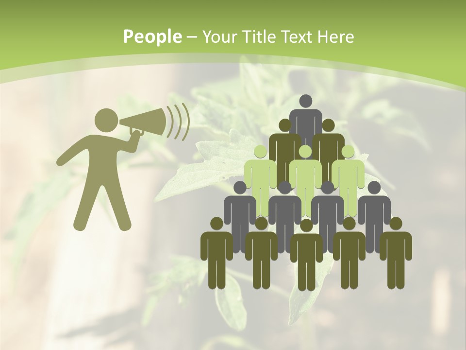 Organic Soil Sunshine PowerPoint Template