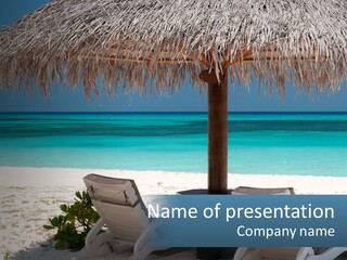 Tanning Travel Caribbean PowerPoint Template