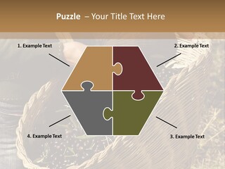 Tradition Mediterranean Harvest PowerPoint Template