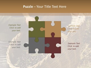 Tradition Mediterranean Harvest PowerPoint Template