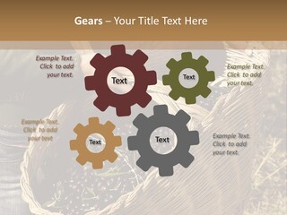 Tradition Mediterranean Harvest PowerPoint Template