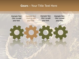 Tradition Mediterranean Harvest PowerPoint Template