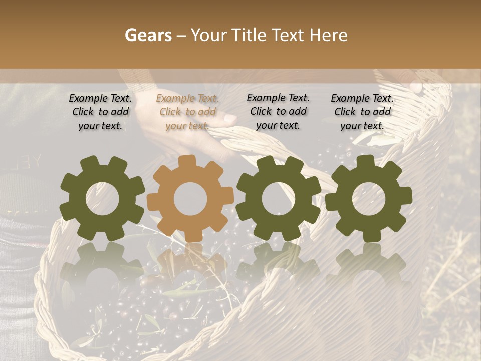 Tradition Mediterranean Harvest PowerPoint Template