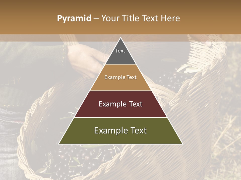 Tradition Mediterranean Harvest PowerPoint Template