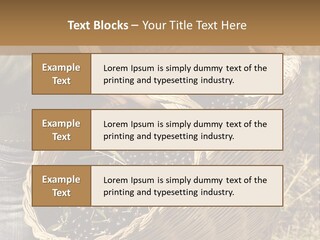Tradition Mediterranean Harvest PowerPoint Template