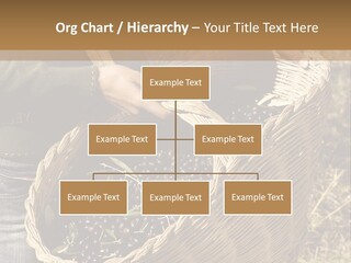 Tradition Mediterranean Harvest PowerPoint Template