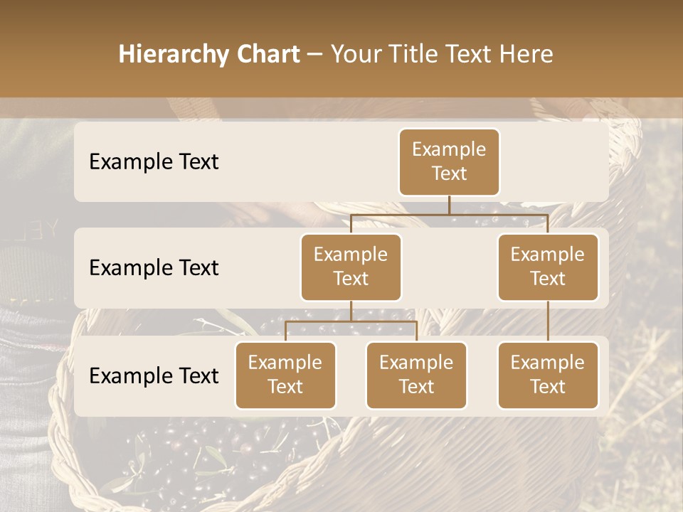 Tradition Mediterranean Harvest PowerPoint Template