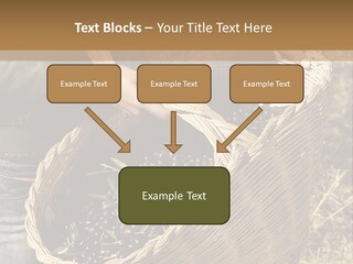 Tradition Mediterranean Harvest PowerPoint Template