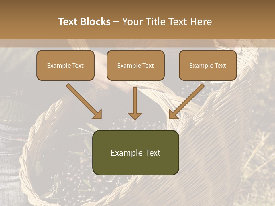 Tradition Mediterranean Harvest PowerPoint Template