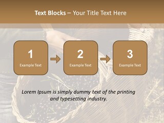 Tradition Mediterranean Harvest PowerPoint Template