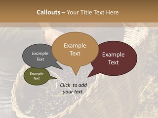 Tradition Mediterranean Harvest PowerPoint Template