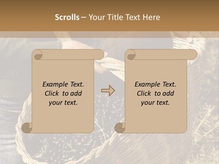 Tradition Mediterranean Harvest PowerPoint Template