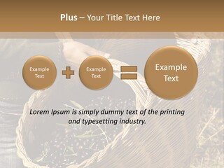 Tradition Mediterranean Harvest PowerPoint Template