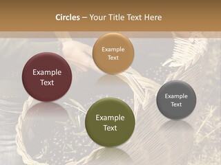 Tradition Mediterranean Harvest PowerPoint Template