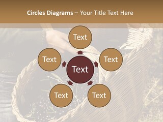 Tradition Mediterranean Harvest PowerPoint Template