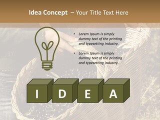 Tradition Mediterranean Harvest PowerPoint Template