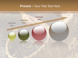 Tradition Mediterranean Harvest PowerPoint Template