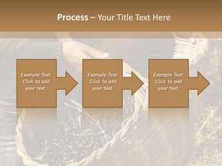 Tradition Mediterranean Harvest PowerPoint Template