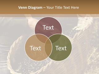 Tradition Mediterranean Harvest PowerPoint Template