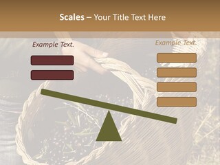 Tradition Mediterranean Harvest PowerPoint Template